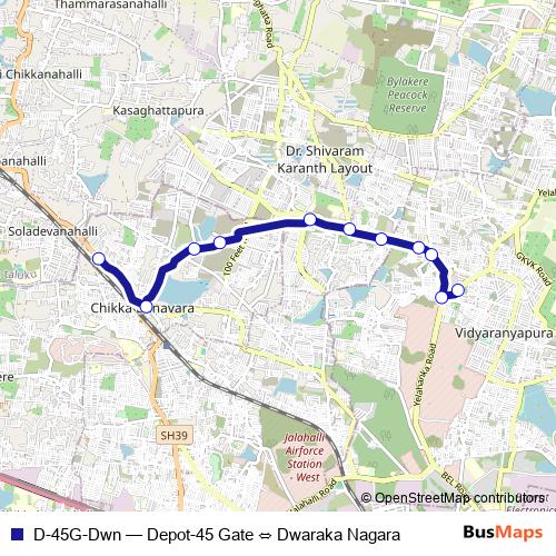 D-45G-Dwn bus Line Map