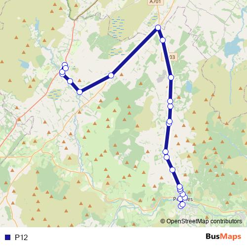 P12 bus Line Map