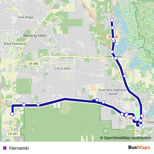Hernando bus Line Map