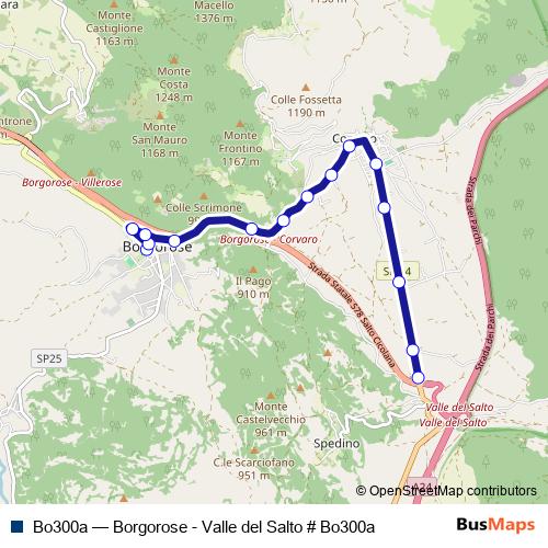 Bo300a bus Line Map
