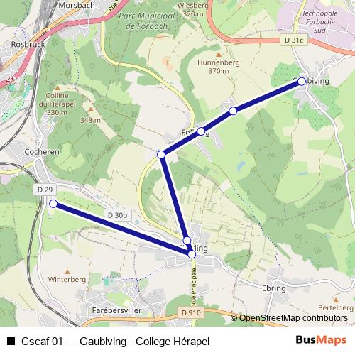 Cscaf 01 bus Line Map