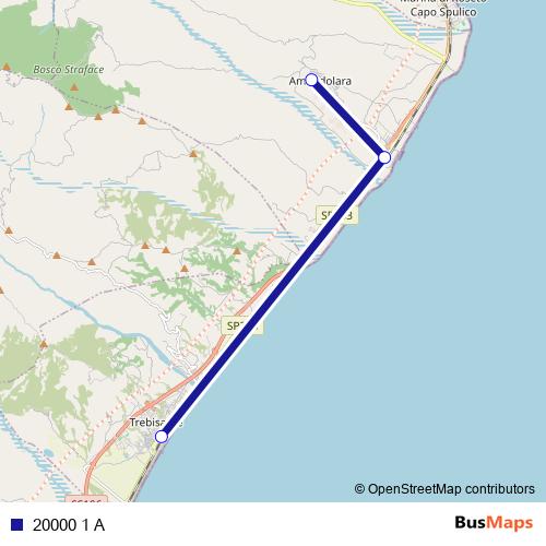 20000 1 A bus Line Map
