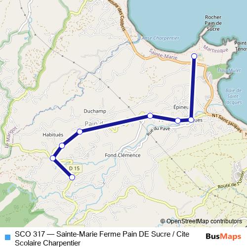 SCO 317 bus Line Map
