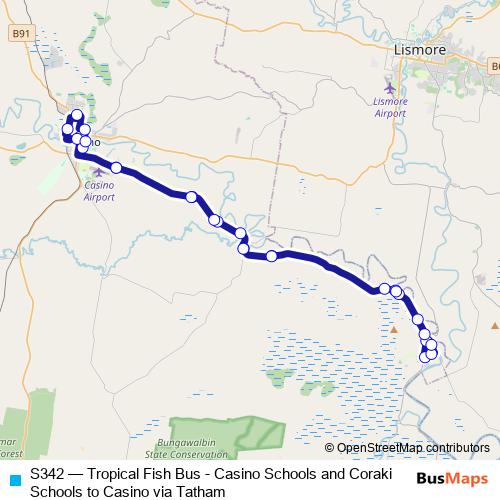 S342 bus Line Map