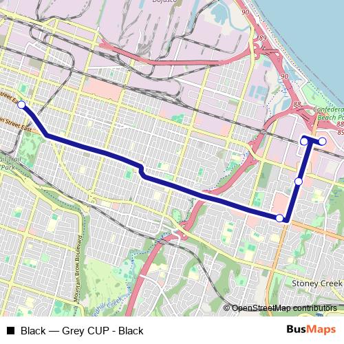 Black bus Line Map