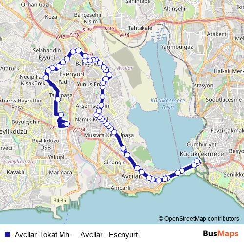 Avcilar-Tokat Mh bus Line Map