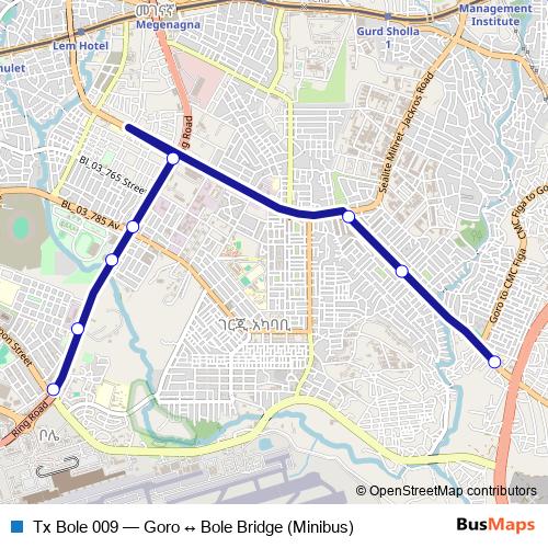 Tx Bole 009 bus Line Map