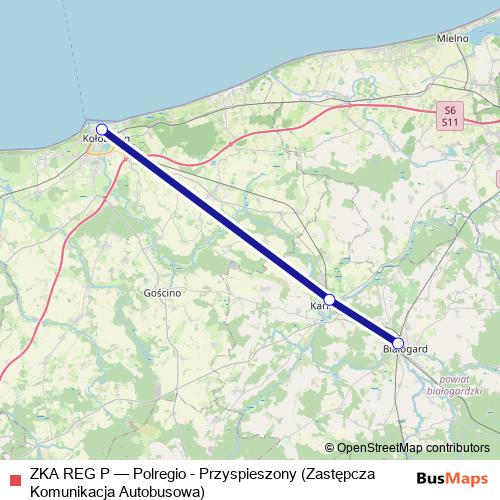 ZKA REG P bus Line Map