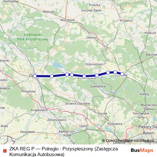 ZKA REG P bus Line Map