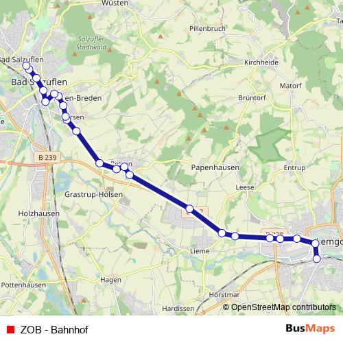 ZOB - Bahnhof bus Line Map