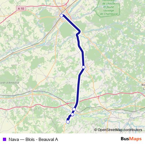 Nava bus Line Map