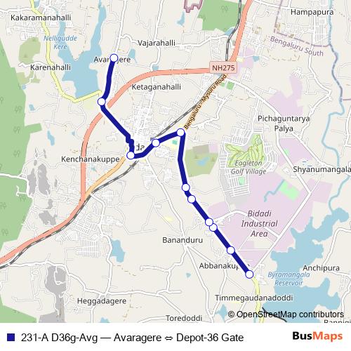 231-A D36g-Avg bus Line Map