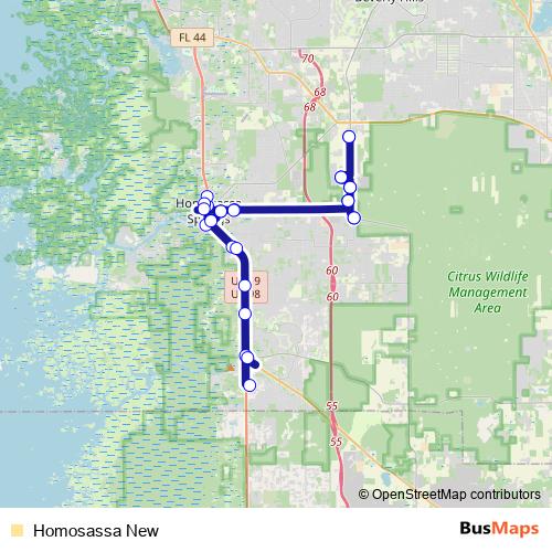 Homosassa New bus Line Map