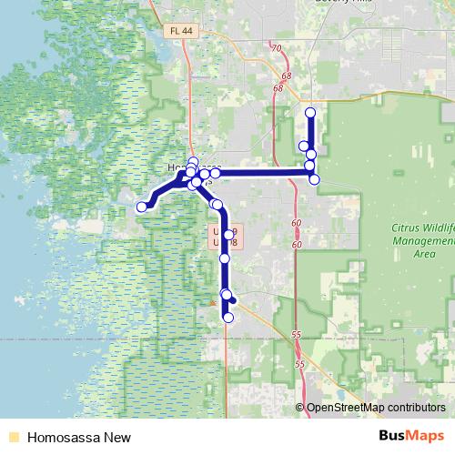 Homosassa New bus Line Map