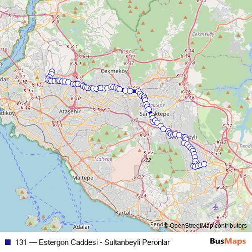 131 bus Line Map