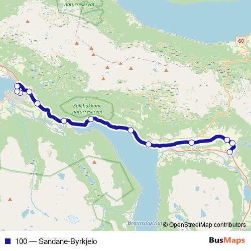 100 bus Line Map