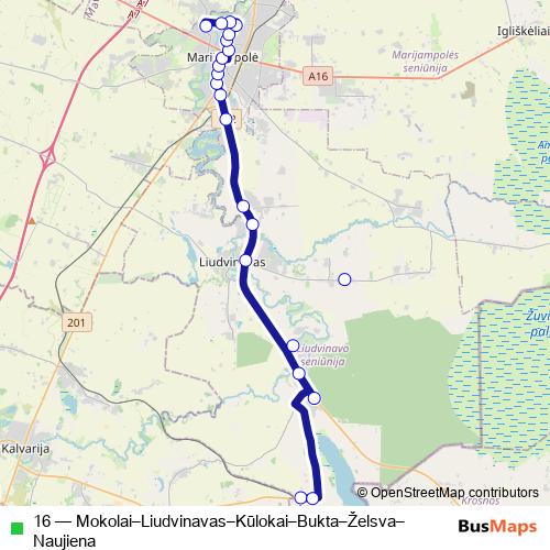 16 bus Line Map