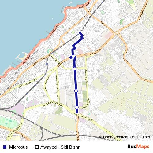 Microbus bus Line Map