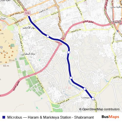 Microbus bus Line Map