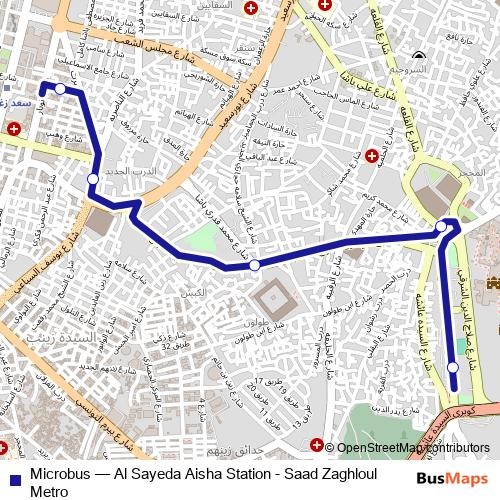 Microbus bus Line Map