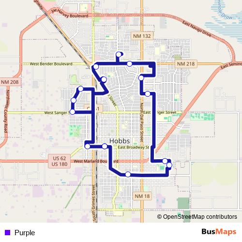 Purple bus Line Map