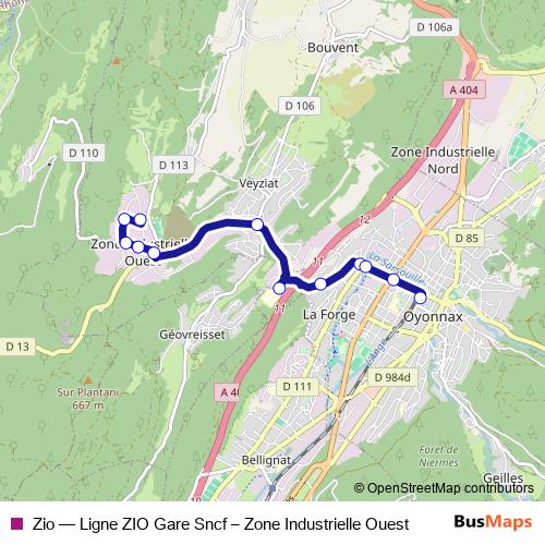 Zio bus Line Map