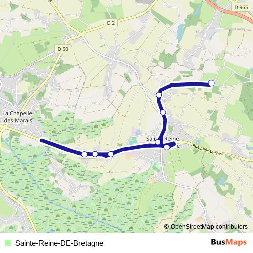 Sainte-Reine-DE-Bretagne bus Line Map