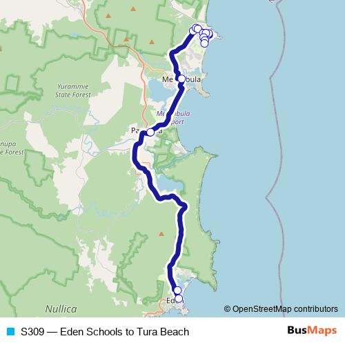 S309 bus Line Map