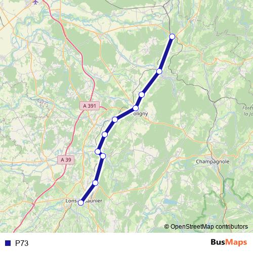 P73 bus Line Map