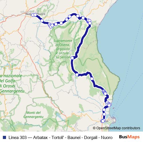 Linea 303 bus Line Map