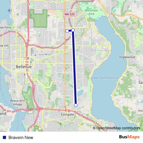 Bravern New bus Line Map