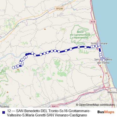 12 bus Line Map