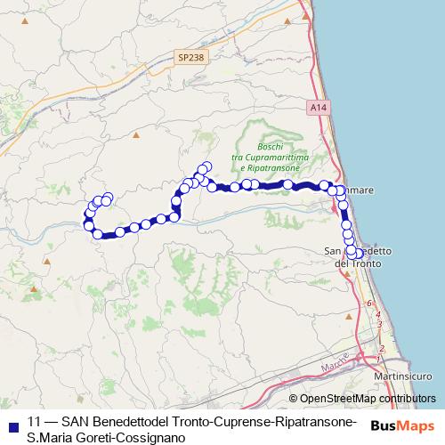 11 bus Line Map