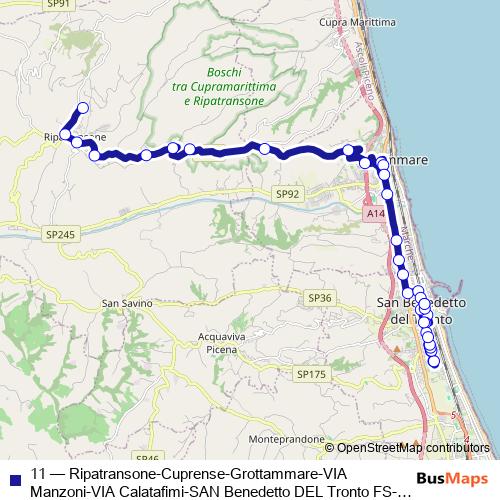 11 bus Line Map