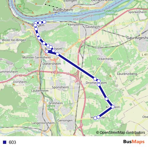 603 bus Line Map