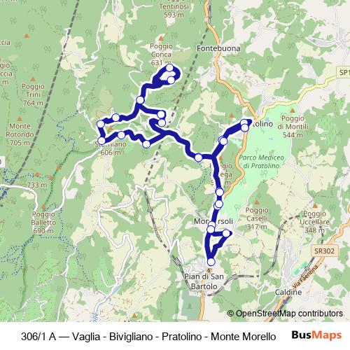 306/1 A bus Line Map