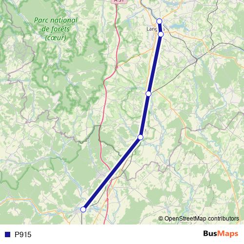 P915 bus Line Map