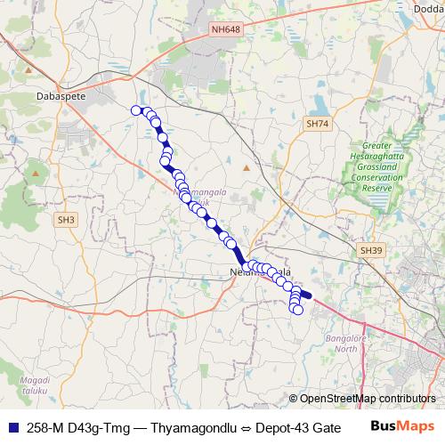 258-M D43g-Tmg bus Line Map