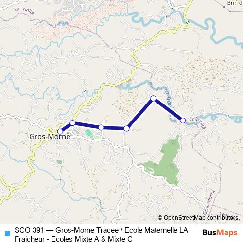 SCO 391 bus Line Map