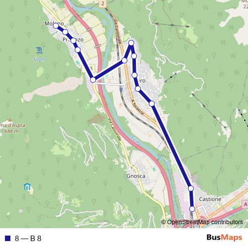 8 bus Line Map