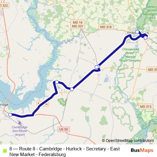 8 bus Line Map