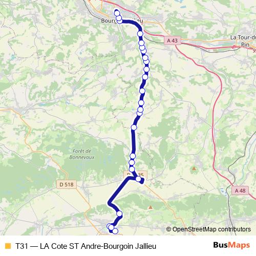 T31 bus Line Map