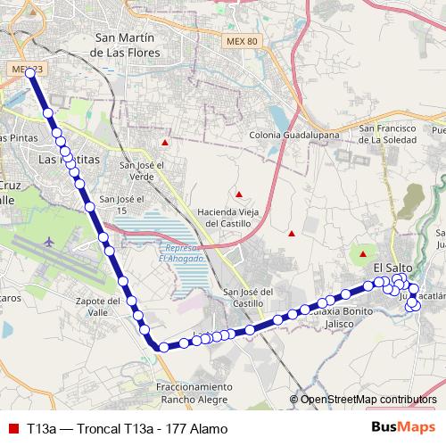 T13a bus Line Map