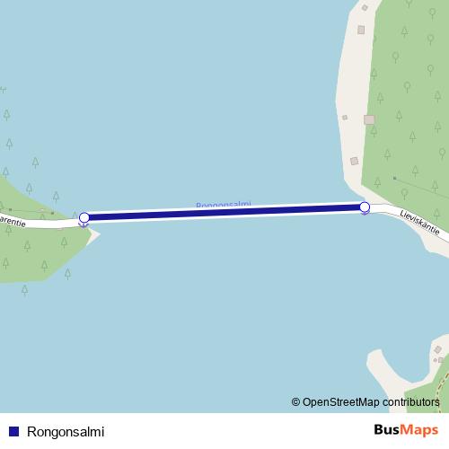 Rongonsalmi ferry Line Map