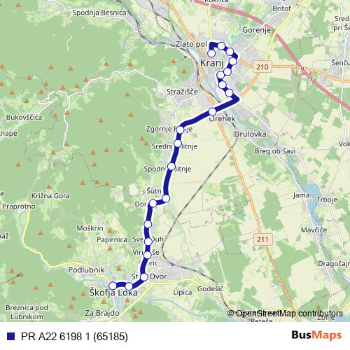PR A22 6198 1 (65185) bus Line Map