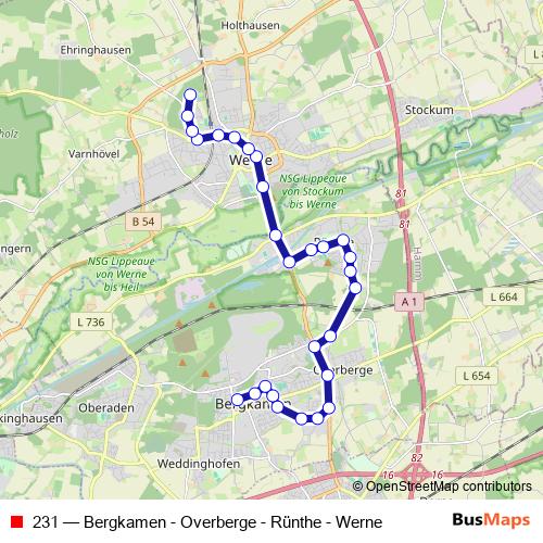 231 bus Line Map