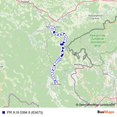 PR A18 0394 8 (63473) bus Line Map