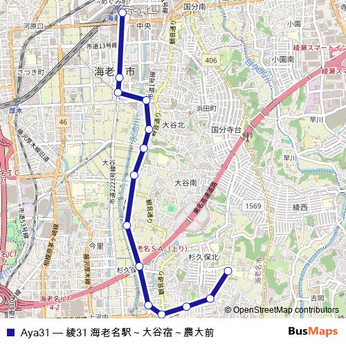 Aya31 bus Line Map