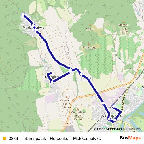 3886 bus Line Map