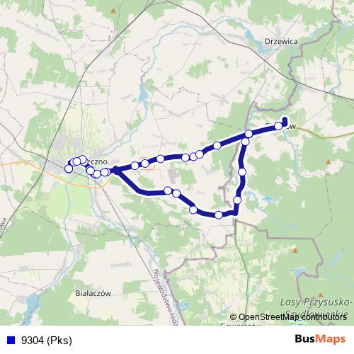 9304 (Pks) bus Line Map